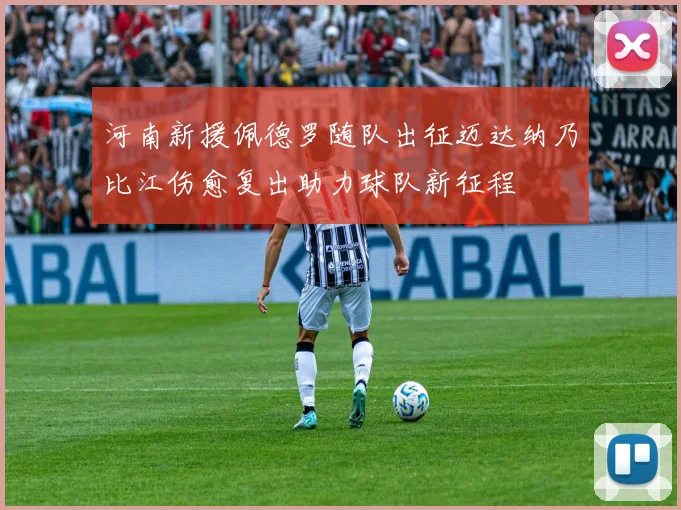 河南新援佩德罗随队出征迈达纳乃比江伤愈复出助力球队新征程