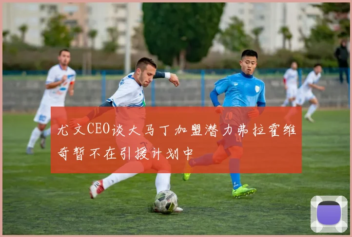 尤文CEO谈大马丁加盟潜力弗拉霍维奇暂不在引援计划中